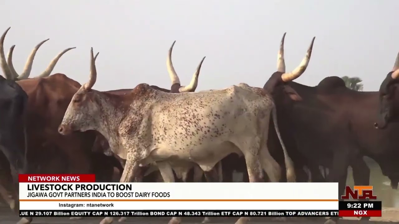 Jigawa Partners India to Boost Livestock and Dairy Production