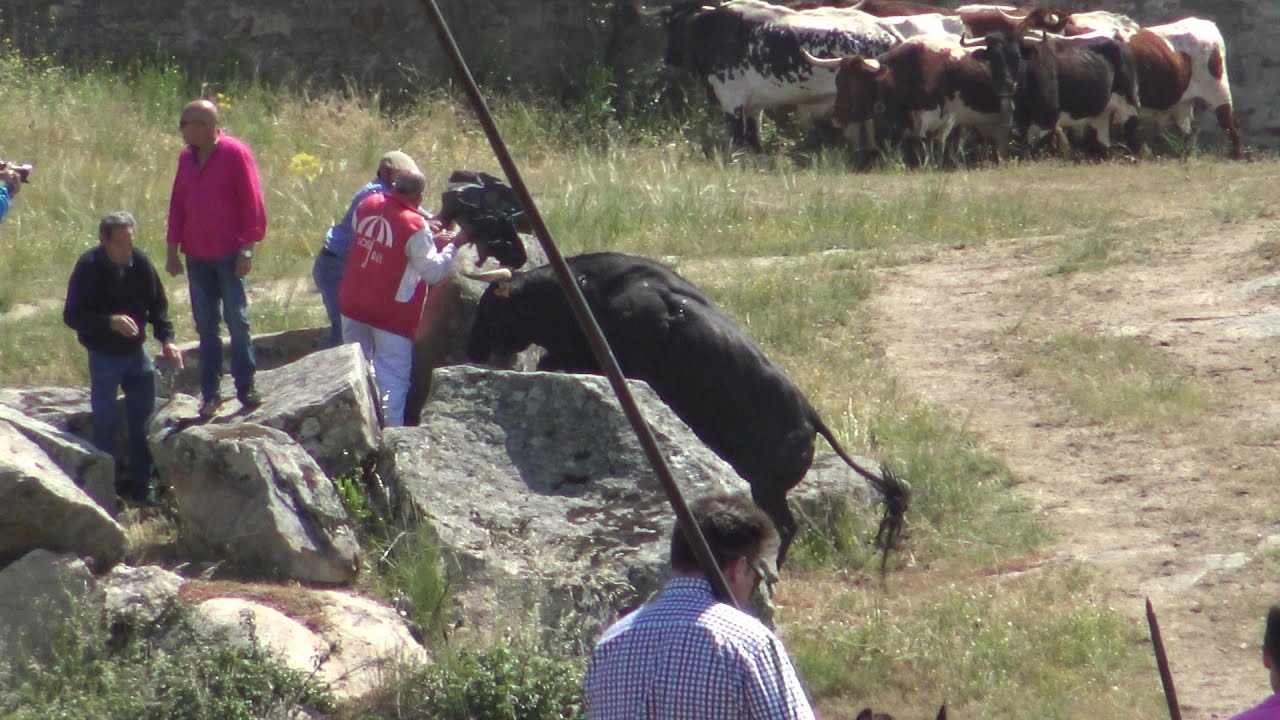 ledesma 2018 Espantos del domingo