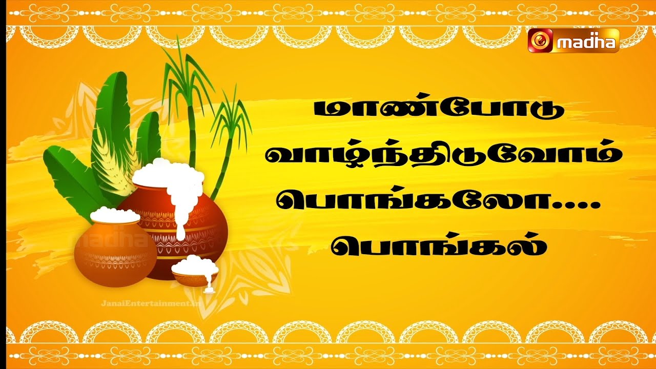 MAANBODU VAAZHNTHIDUVOM PONGALO PONGAL | PONGAL SPECIAL PROGRAM | 15 JAN 2026 | VELLORE | MADHA TV​