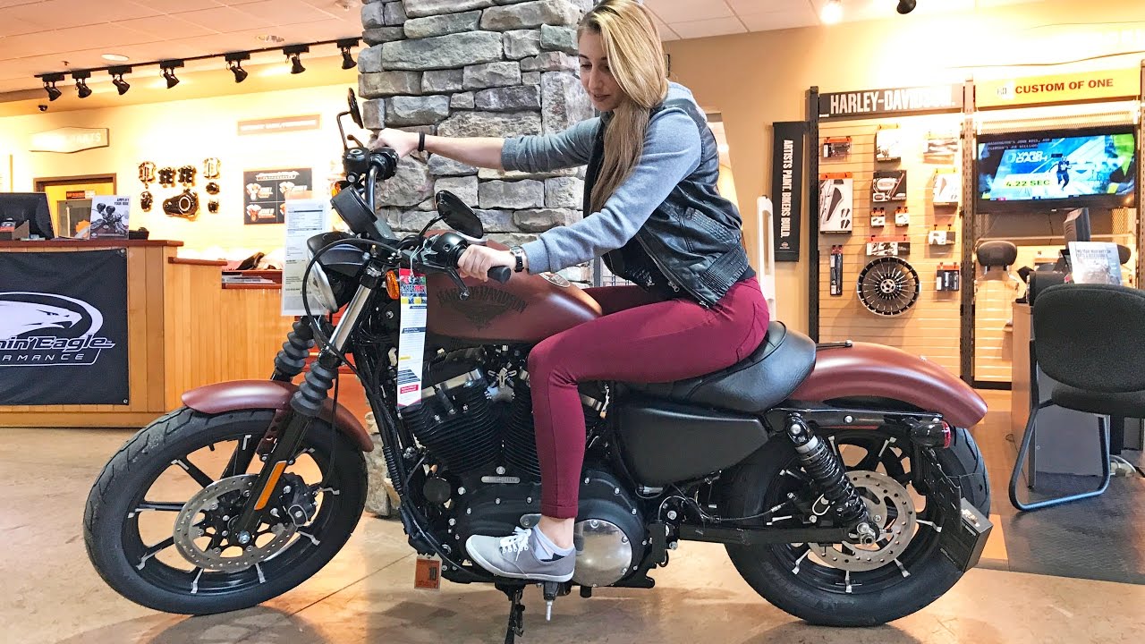 Harley Davidson Shopping with My Girlfriend