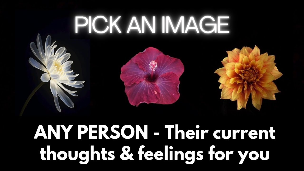Hindi | ANY PERSON - Unke current thoughts & feelings aapko lekar kya hain? ✨ Pick card Tarot