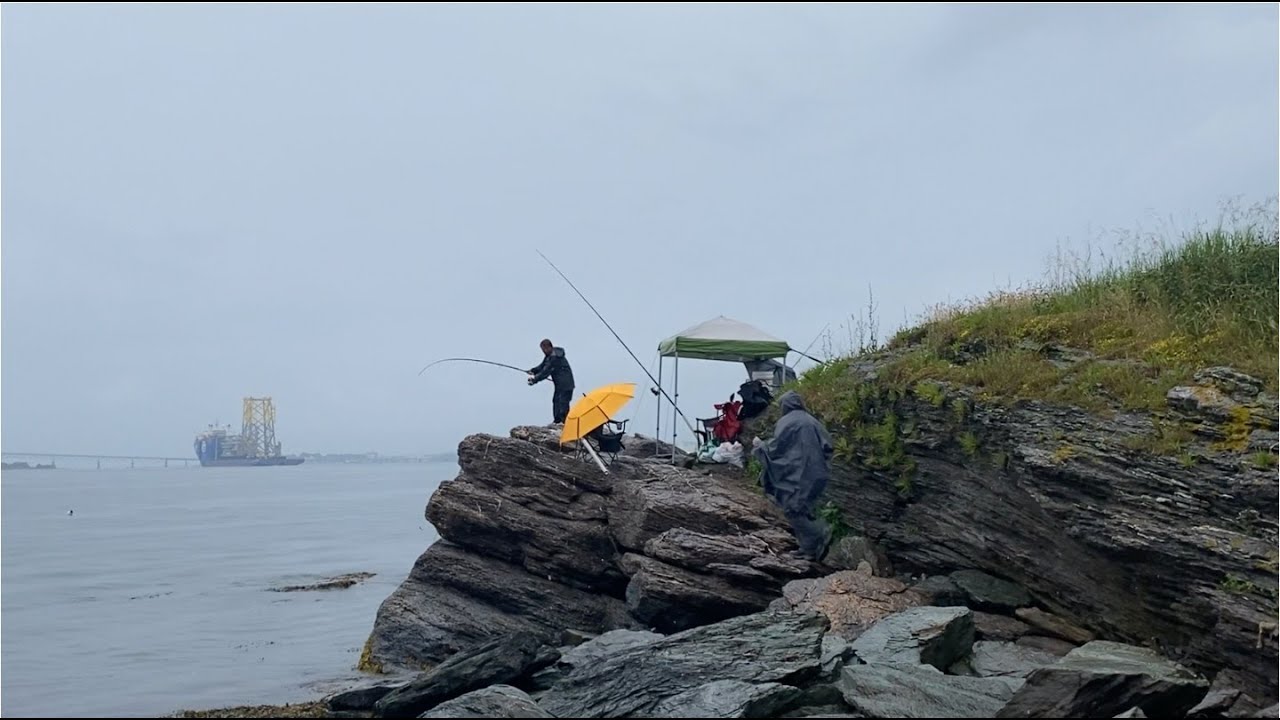 Scup fishing at Fort Adams, Newport, RI (6/17, 2023)