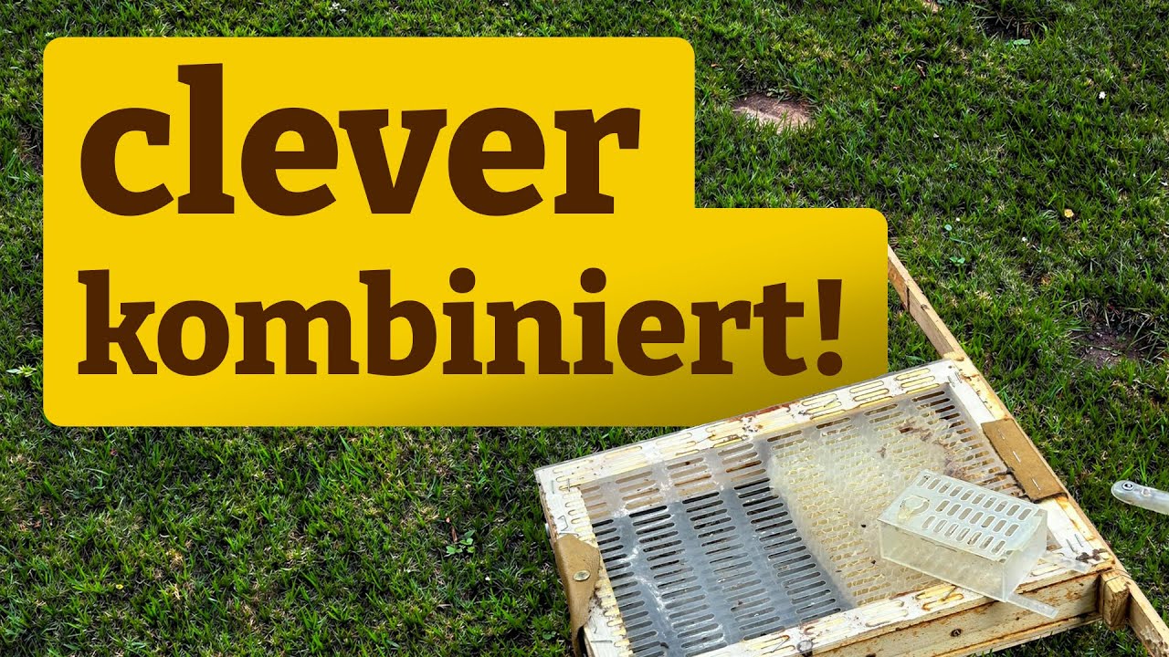 Käfigen und Bannwabenverfahren clever kombiniert!
