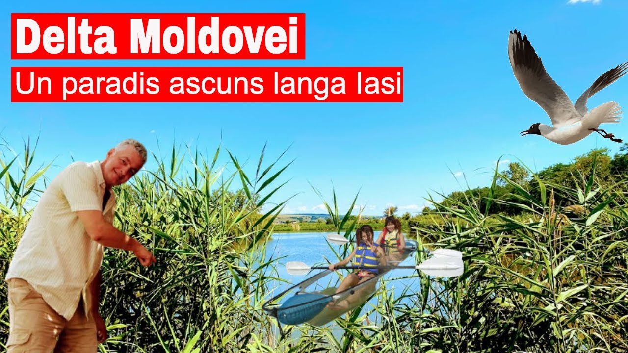 Delta Moldovei - Paradisul ascuns de langa Iasi 