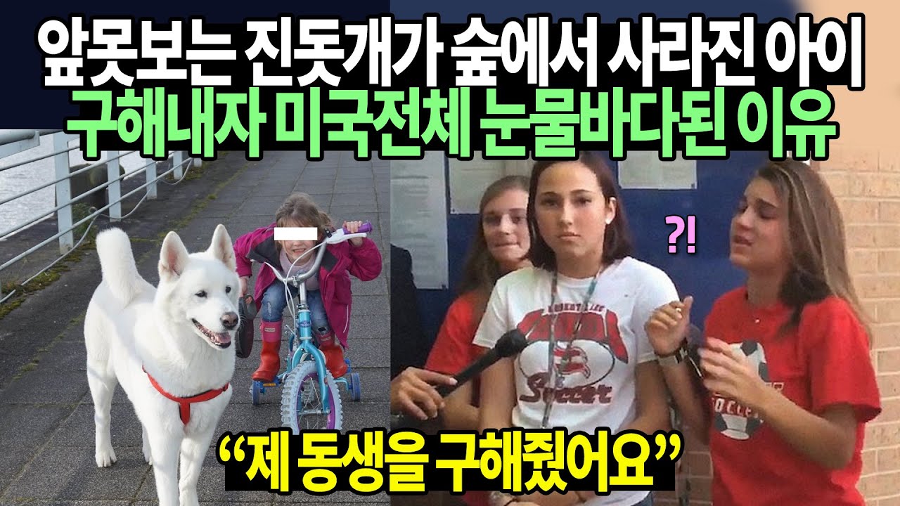 미국으로 입양된 진돗개가 사람 구해내자 전세계 오열한 이유