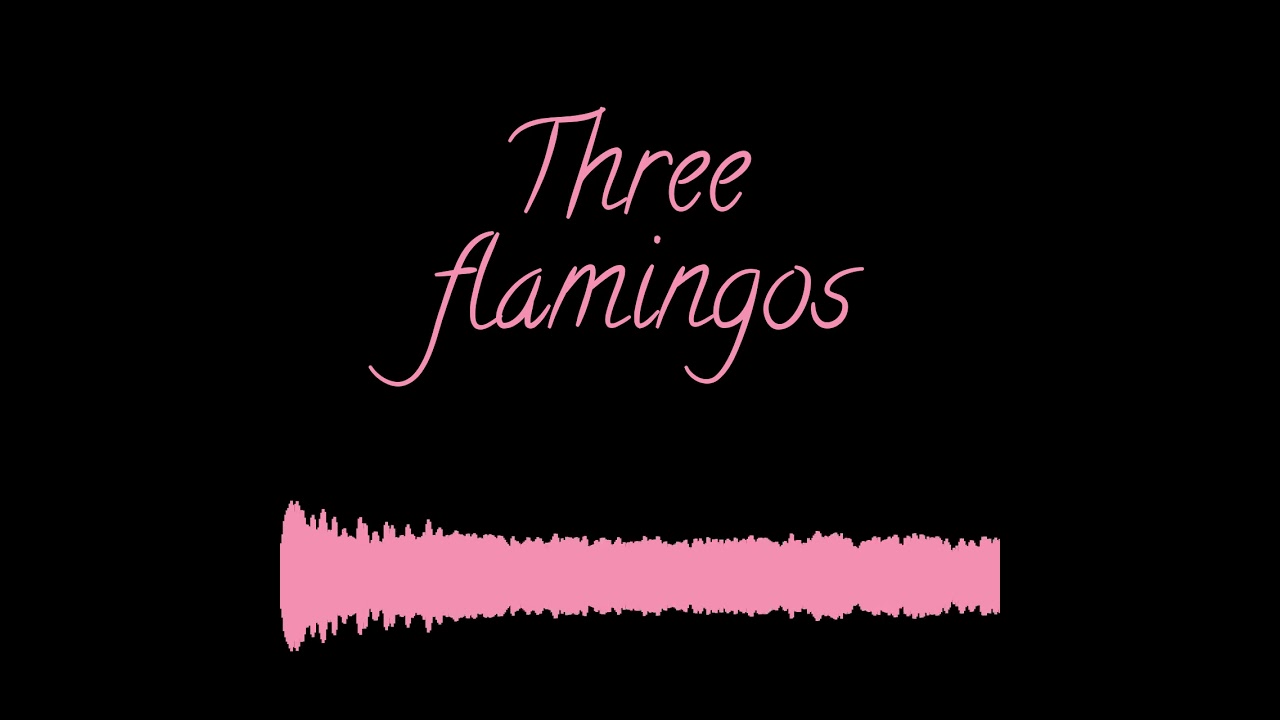Three Flamingos