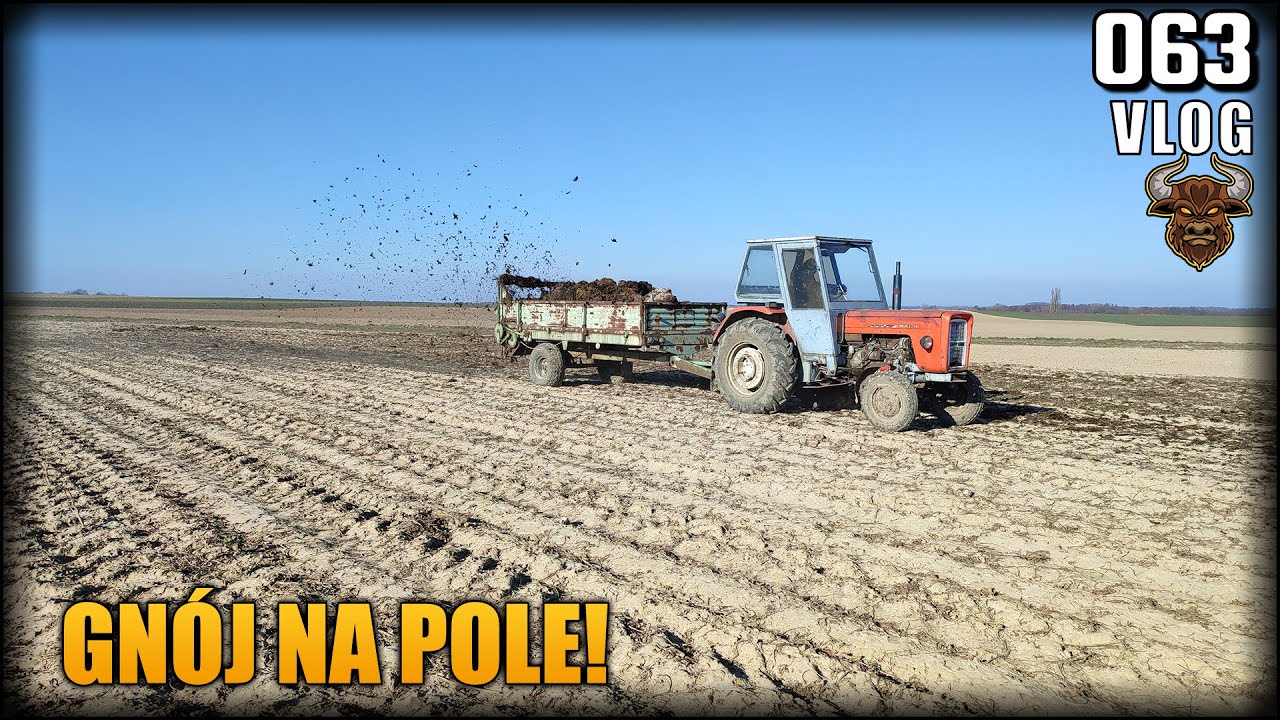 Wywieźliśmy gnój na pole bo nawóz drogi że ja pi****le... Obornik pod kukurydzę | Vlog #63