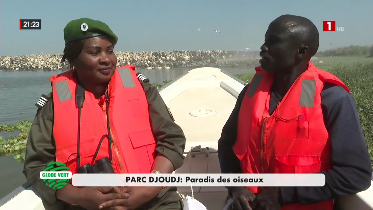 GLOBE VERT - LUNDI 02 FÉVRIER 2026