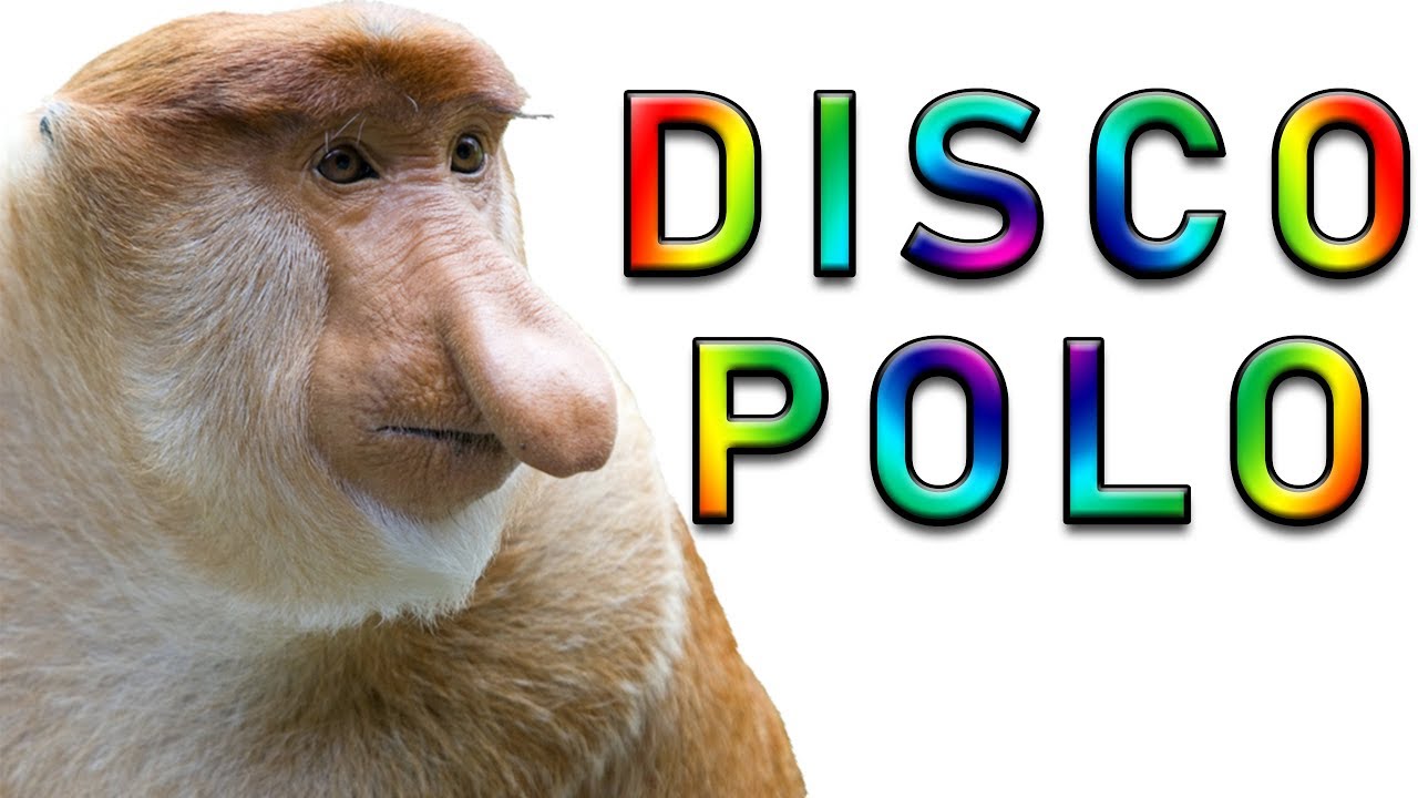 Typowy Polak #1 - Disco Polo