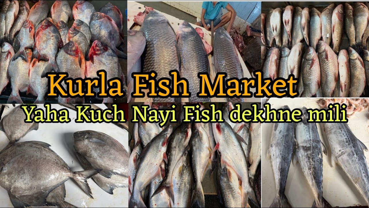 Kurla Fish Market | Mumbai Kurla Wholesale & Retail Fish Market | Fish Market | Mumbai Fish