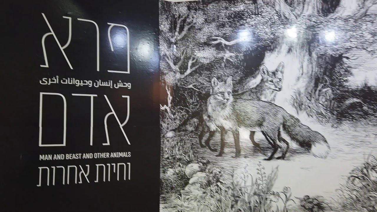 בואו לבקר במוזיאון האדם והחי קיץ 2020