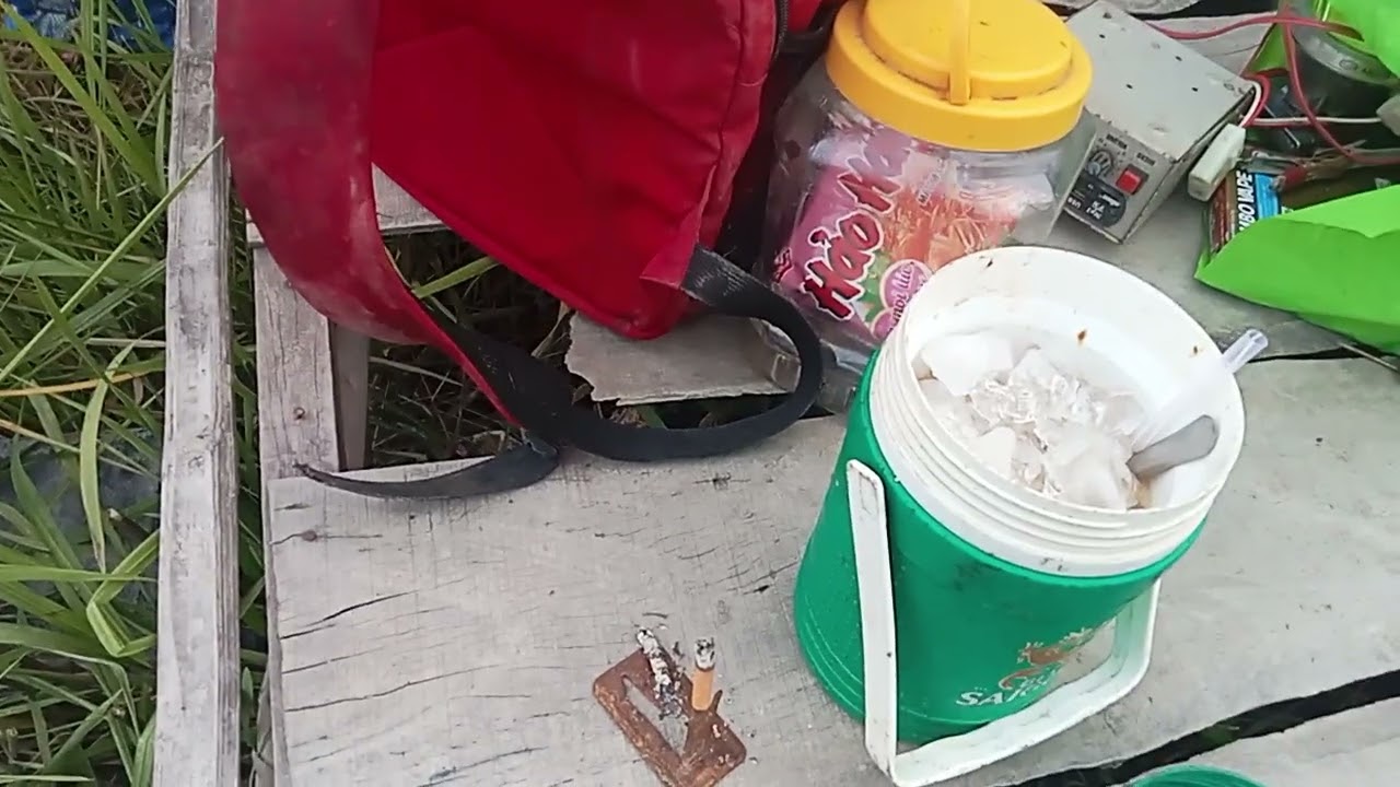 Kết quả khai trương năm mới 19 /1 tạm ổn nha ae 1 gà 2 quốc 