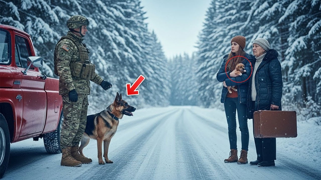 «¿Qué está pasando aquí?», preguntó el Navy SEAL al ver a una familia sola en la nieve
