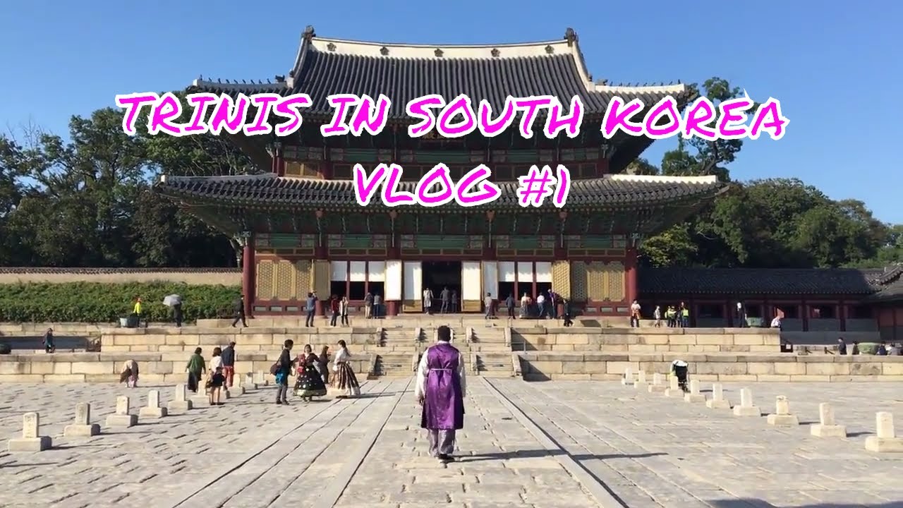 TRINIS IN SOUTH KOREA VLOG #1