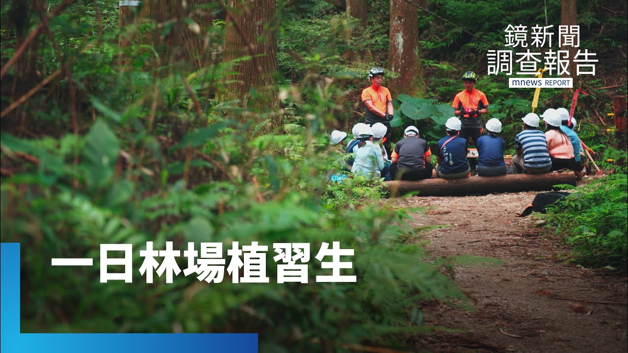 跟著林場達人　一日伐木運材　森林管理跟你想的不一樣｜開門見山 走進真相｜鏡新聞調查報告｜#鏡新聞