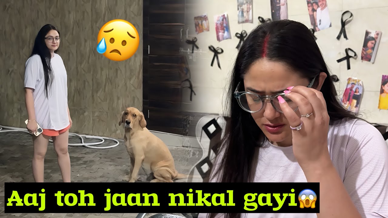 Sibbu ko bahot dar laga👻☹️