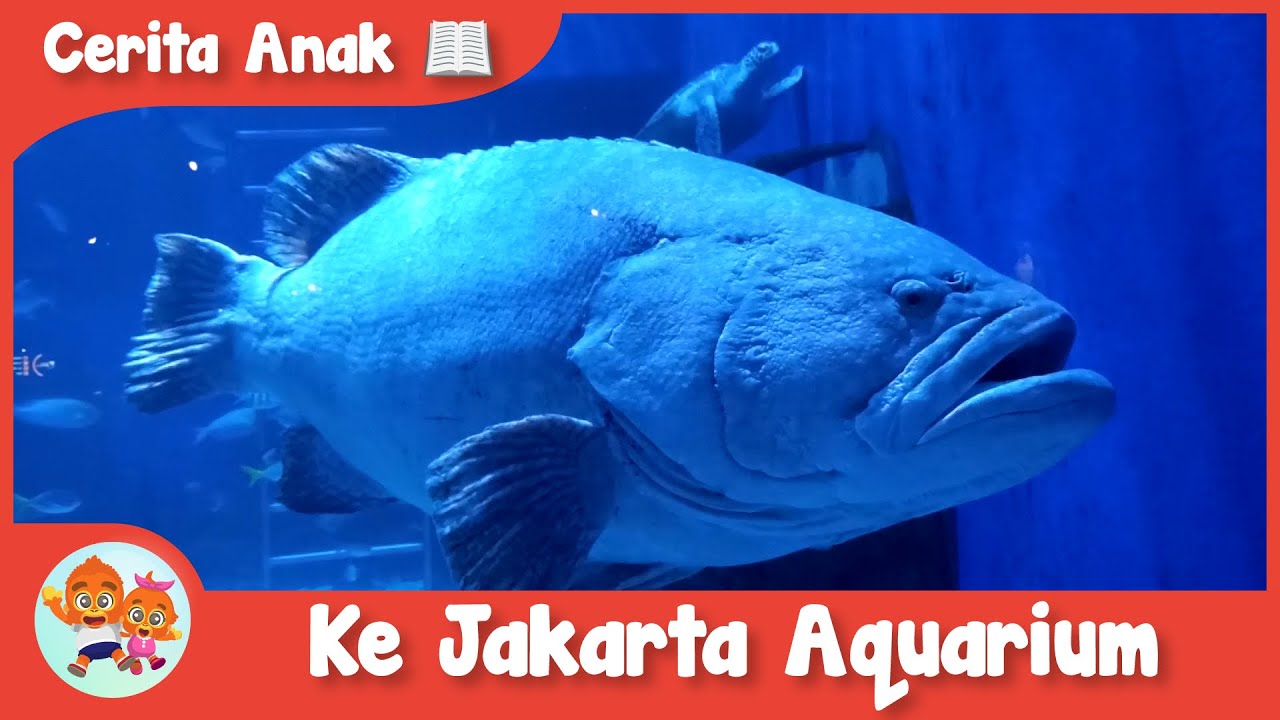 Melihat Ikan di Jakarta Aquarium Cerita Anak Balita Indonesia | Coco dan Nana