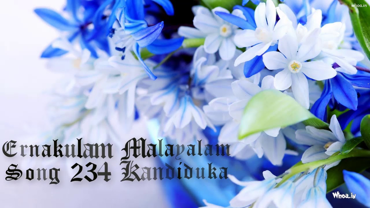 TPM Malayalam Song No. 234 Kandiduka