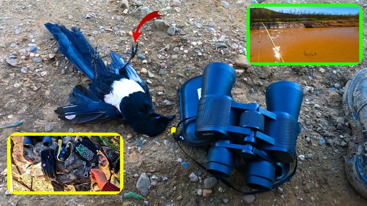 ماذا يوجد في هذا الواد استكشاف بالصنارة وصيد الطيور بالمقلاع 🎣🎯🦅🔥 (الجزء الاخير)