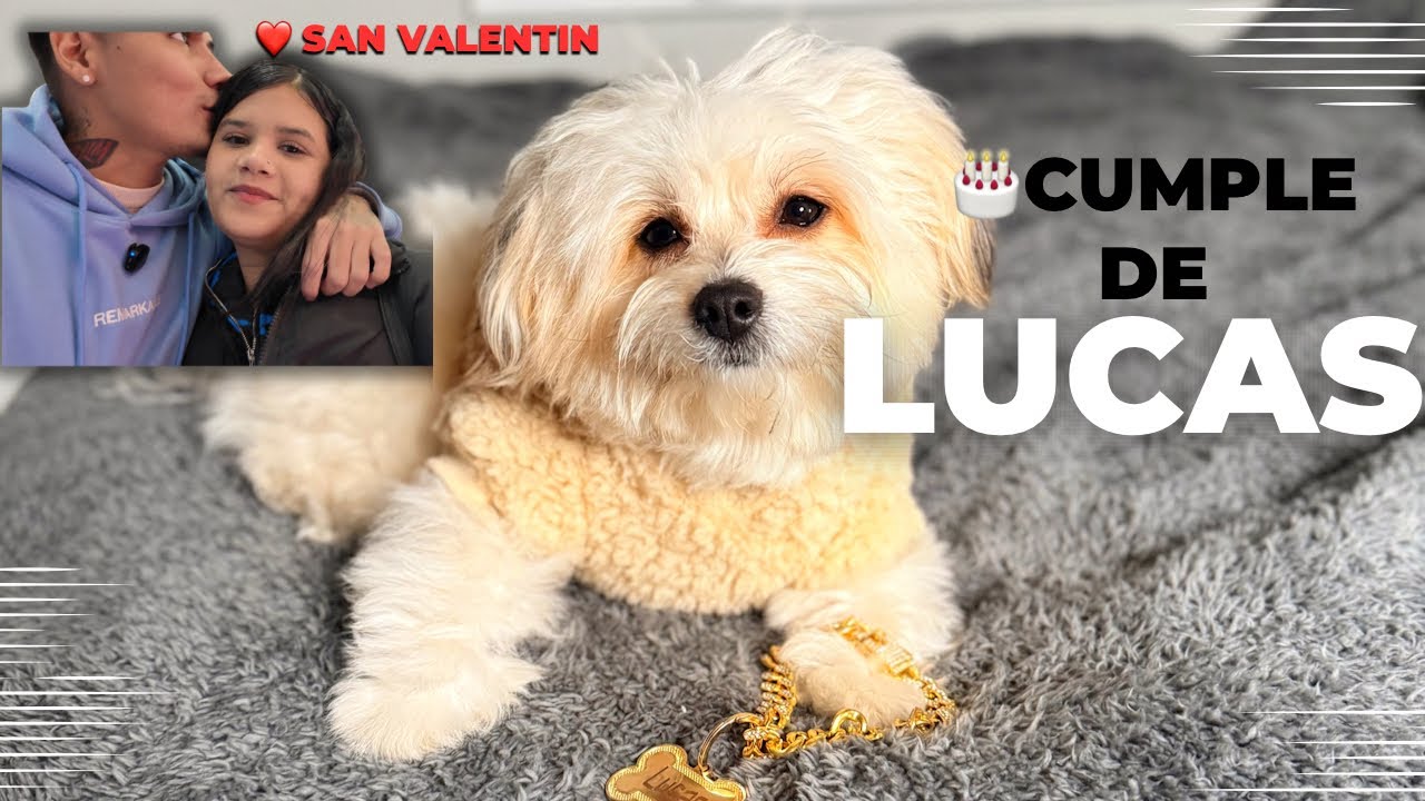 CELEBRAMOS EL CUMPLEAÑOS DE NUESTRO PERRO EN SAN VALENTÍN ❤️🐶
