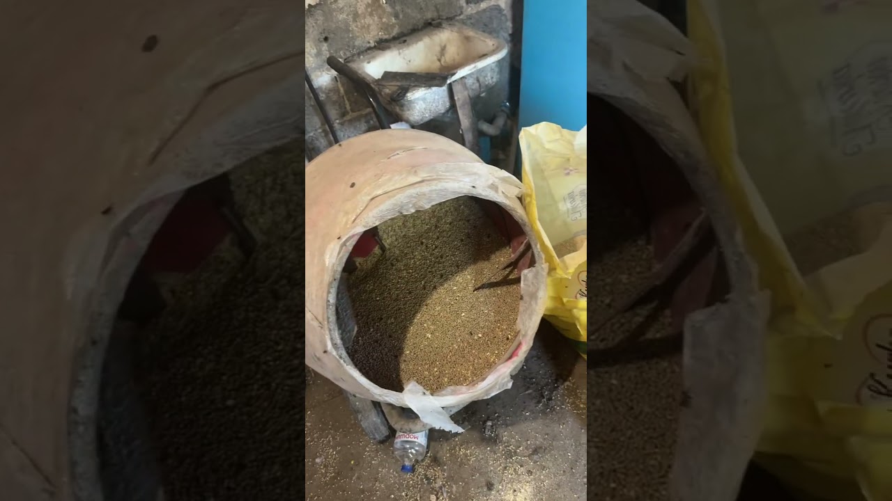 Профессиональные инкубаторы от производителя, а также суточные и подростки цыплят.
