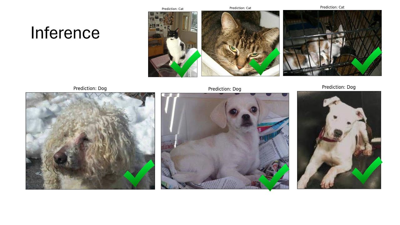 Enhancing Image Classification Performance with Transfer Learning in PyTorch