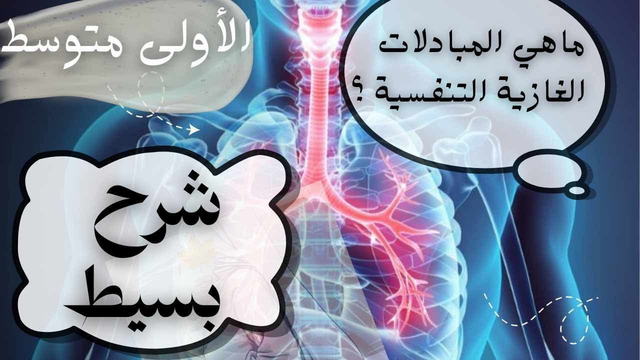 #اولى_متوسط شرح كامل و بسيط المبادلات الغازية التنفسية عند الإنسان 💁📑