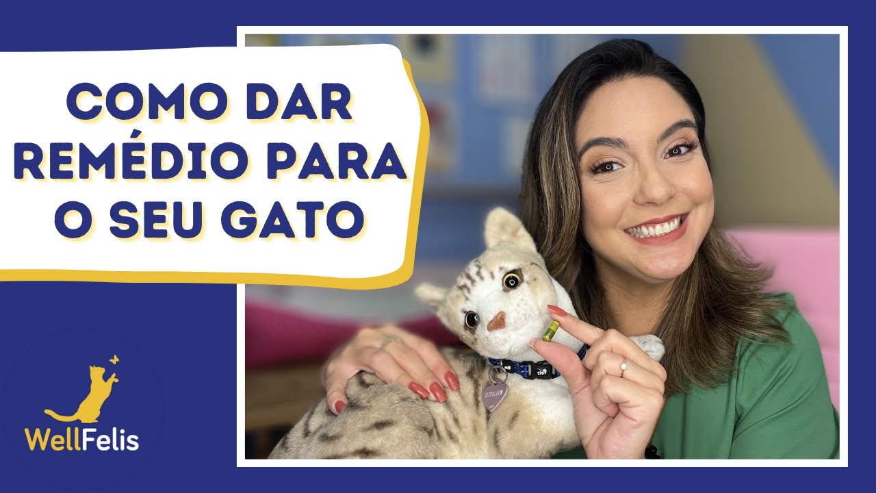 Como dar Remédio para o seu Gato