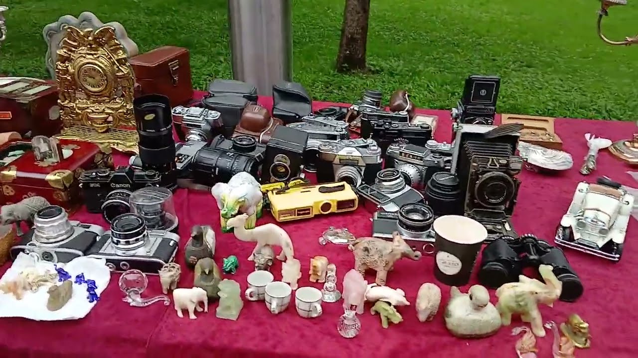 Sremska Mitrovica: Sajam Antikviteta