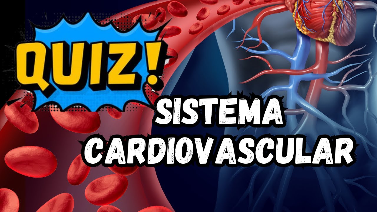 Desafio Cardiovascular: Teste Seus Conhecimentos sobre o Sistema Cardiovascular! 💓🤔