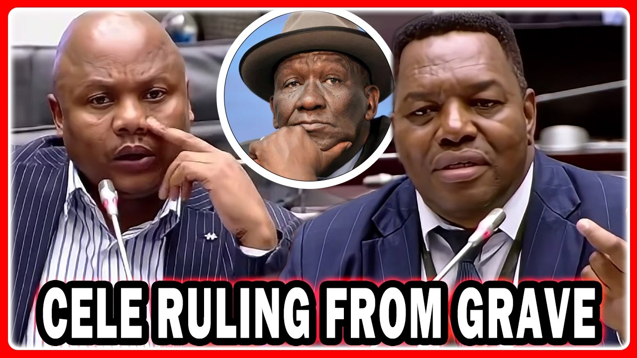 MP Nqola Questions General Masemola “You Didn’t Answer Bheki Cele Ruling From The Grave Allegations”