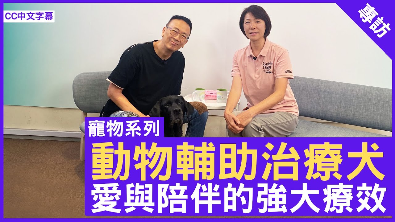 動物輔助治療犬 愛與陪伴的強大療效  #遲淡寧 #Fianna香港導盲犬協會 - 鄭丹瑞《健康旦》(CC中文字幕)