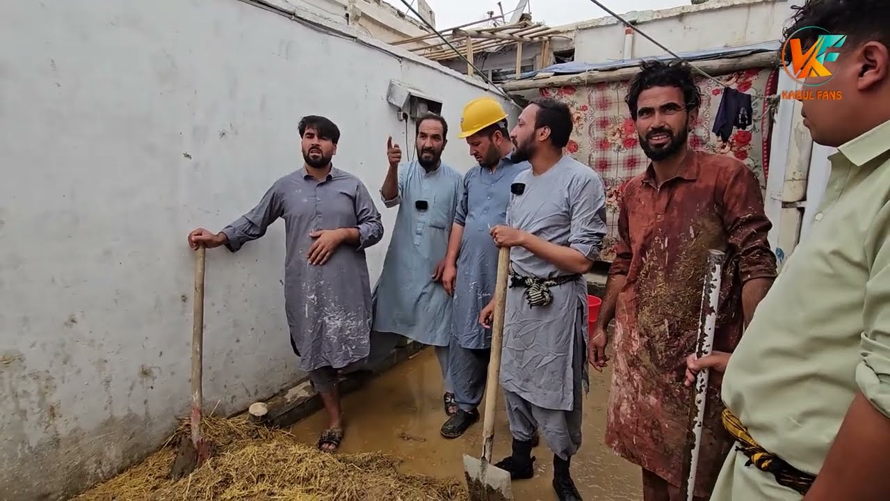 امروز رفتیم خانه سنگین شاه را کاگل کردیم 😇