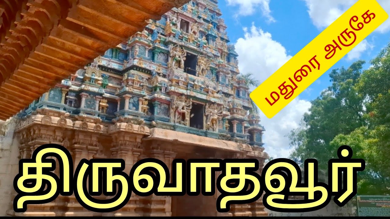 Thiruvathavur வாதநோய் தீர்க்க திருவாதவூர் மாணிக்கவாசகர் ஊர்