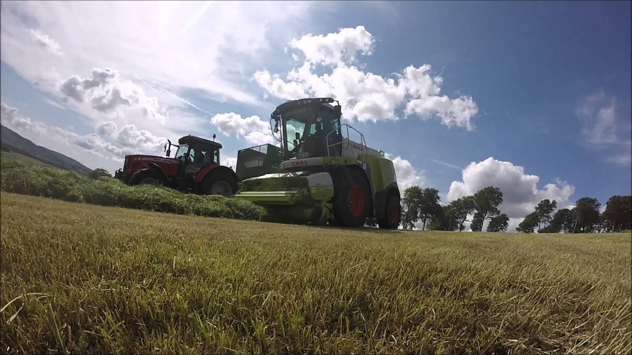 Claas Jaguar 950 Demo
