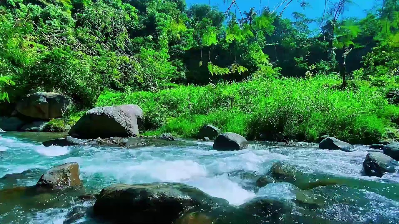 Mountain Stream Quiet Flow, Forest River Water, Sleeping