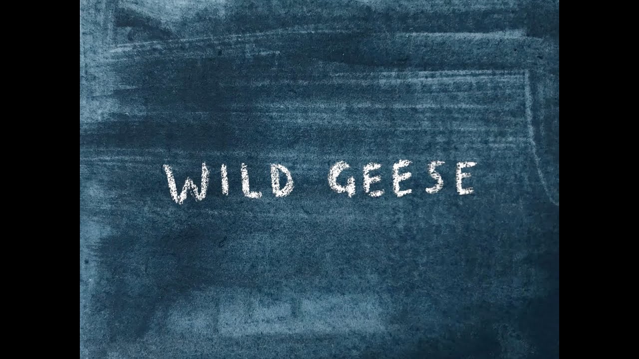 Wild Geese - Mary Oliver poem animation