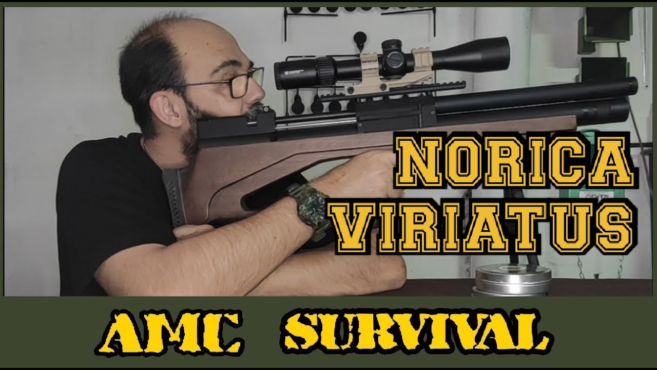 Norica Viriatus 2.0 BP