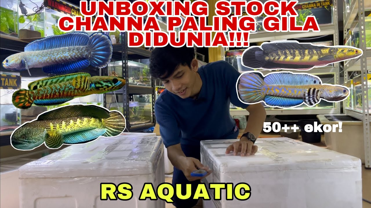UNBOXING STOCK CHANNA PALING TERGILA DIDUNIA!!