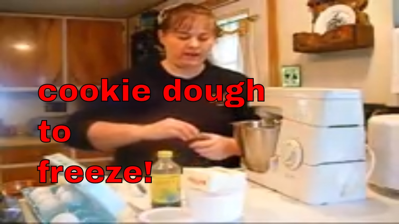 Cookie Dough to freeze (Homestead Tessie Mobile Home Living)