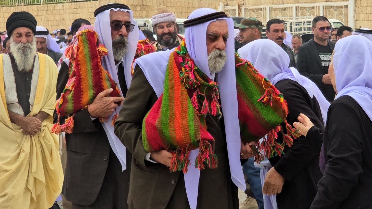 جولة الطاووس في سنجار/ گہ را تاووس ل شنگال Gera Tawisê