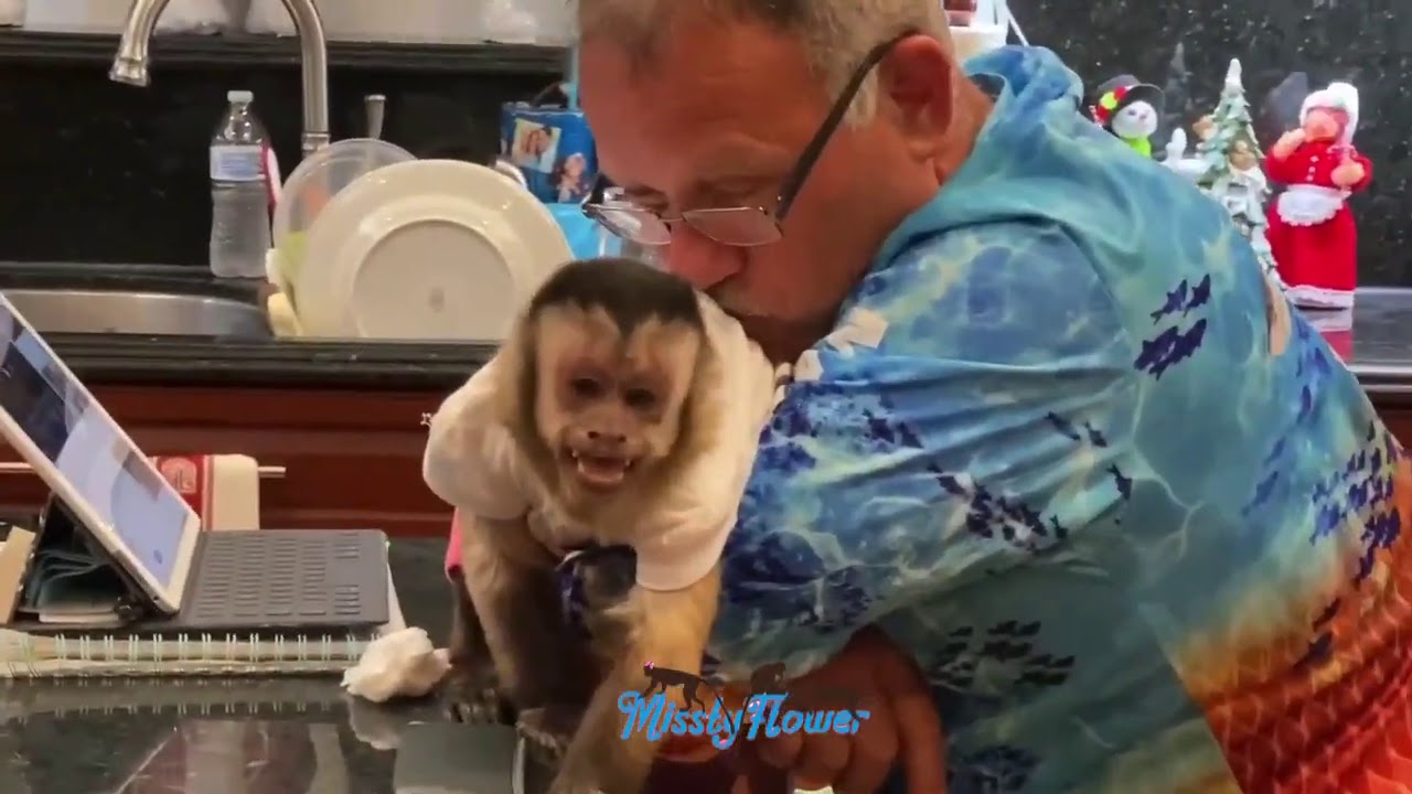 SWEETEST VIDEO of Monkey Complaining to Dad when Sister bothers her! 🙈