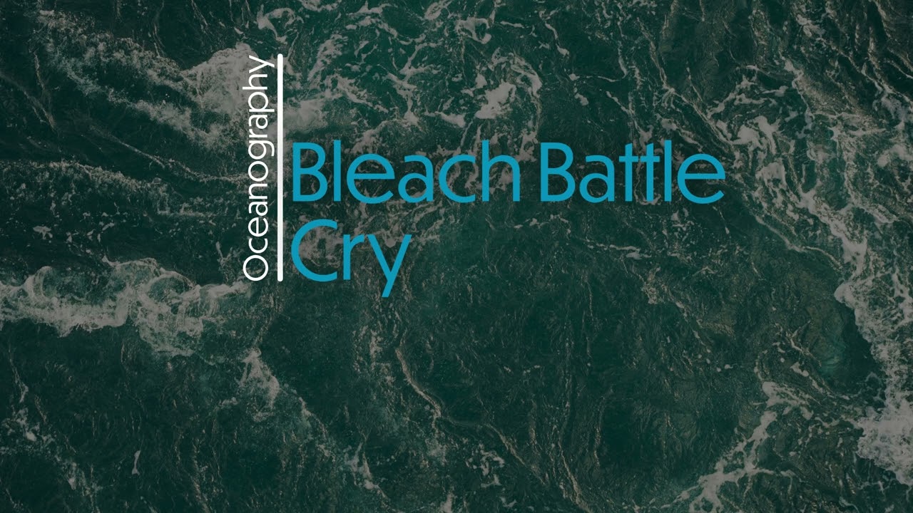 Bleach Battle Cry