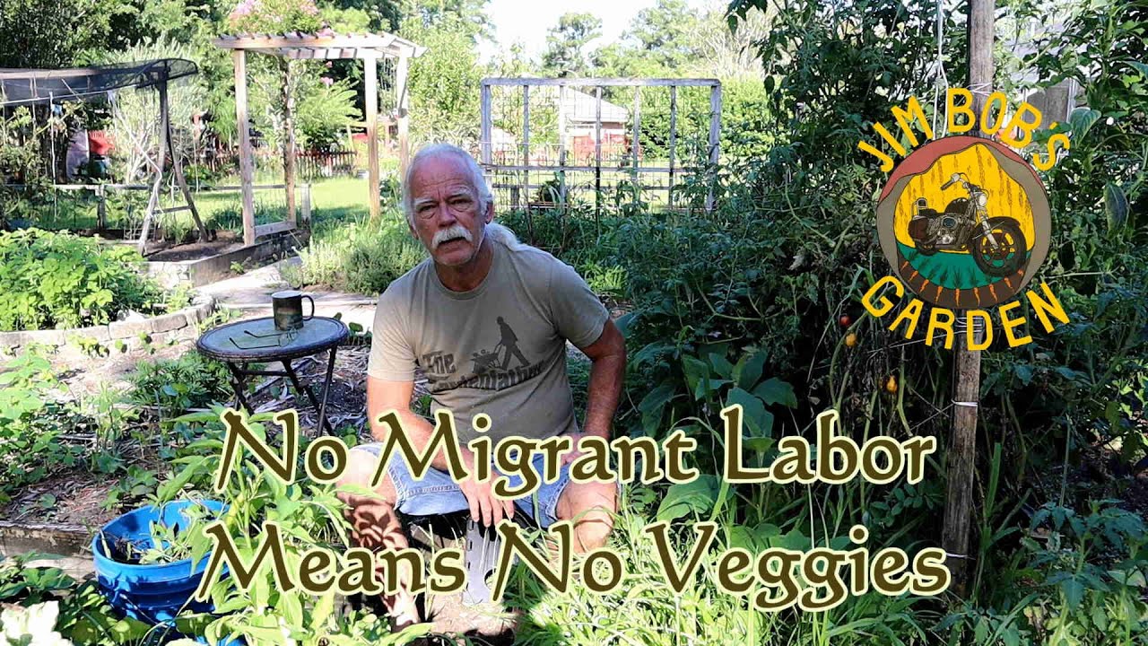 No Migrant Labor Means No Veggies