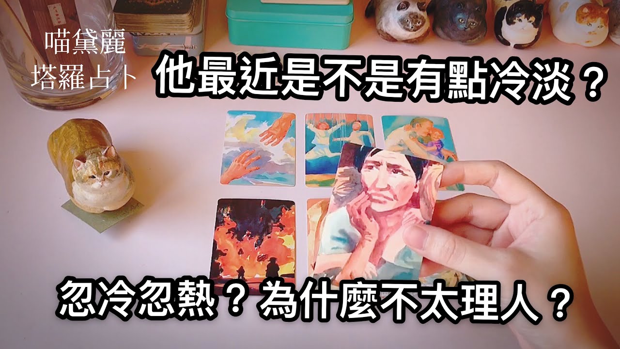 🥠 他/她冷淡、忽冷忽熱的原因？（無時間限制）｜喵黛麗塔羅