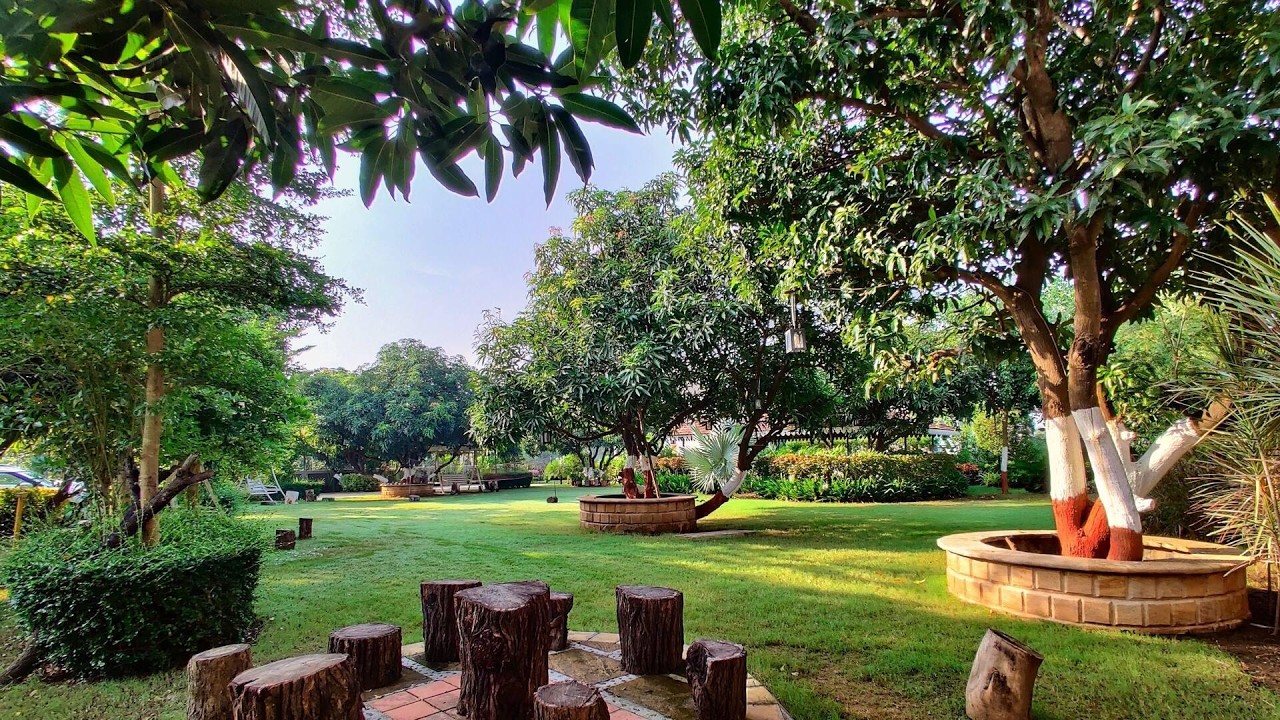 Lion Signature Family Resort, Talala, India | Travel With Anvika