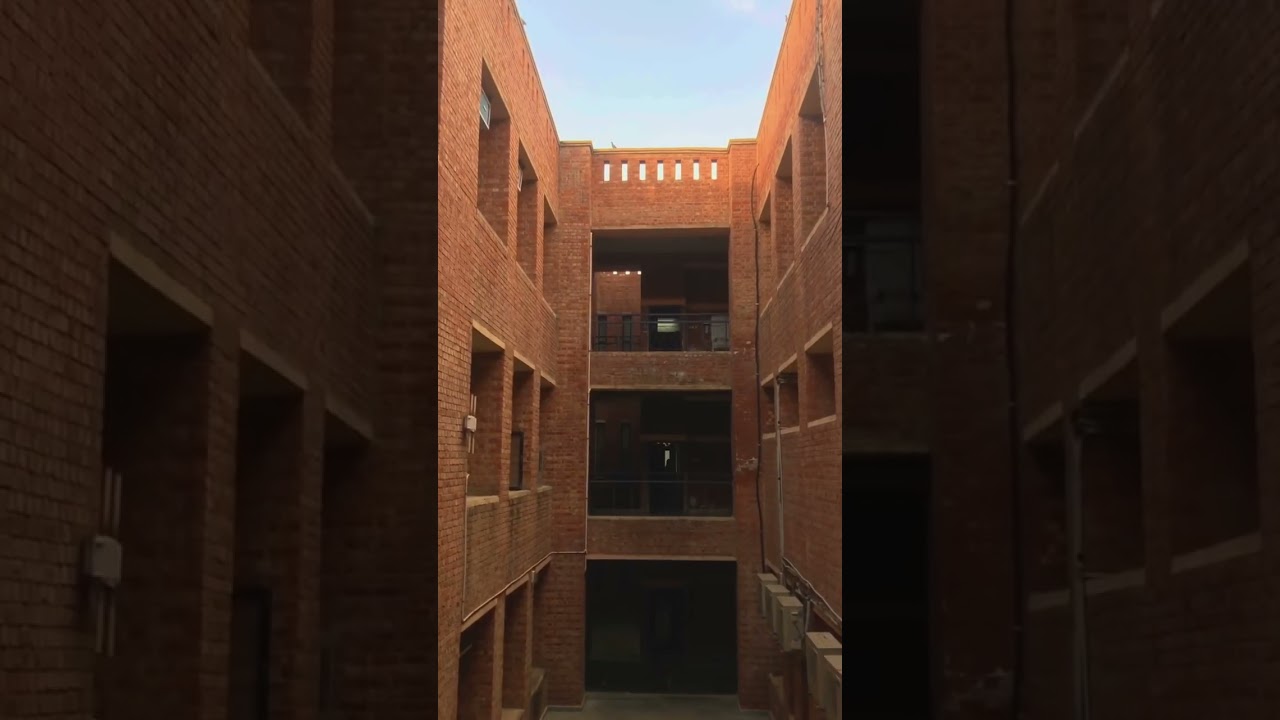 IN MY UNIVERSITY I FEEL LIKE #university #jnu #delhiuniversity #bhuuniversity #collage
