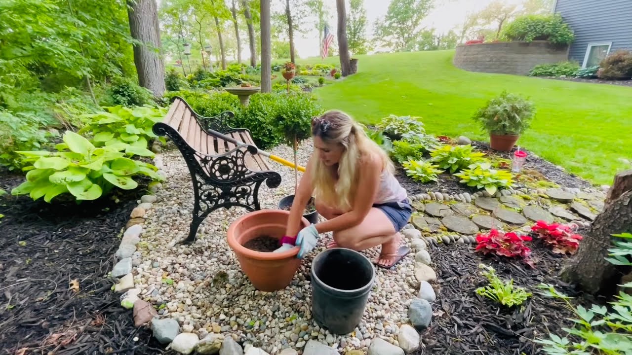 Planting Lollipop Trees & Painting a Whiskey Barrel Planter To Brighten It Up! Stroll In the Garden!