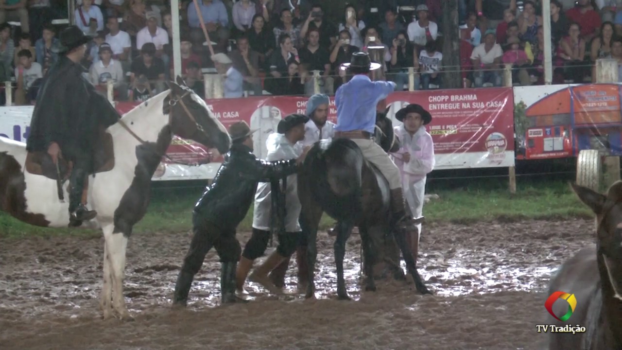 23º Rodeio Internacional do Conesul - Gineteada (2ª classificatória)