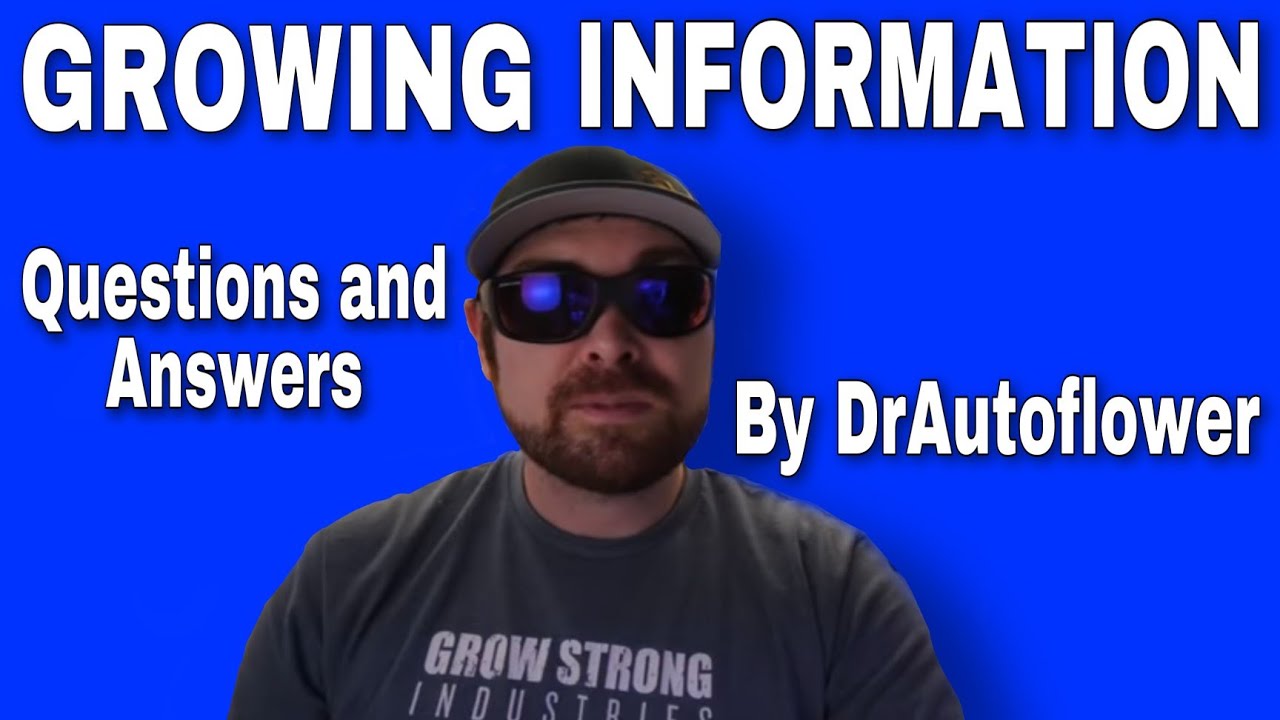 Autoflower Questions Answered by DrAutoflower - Growing Info